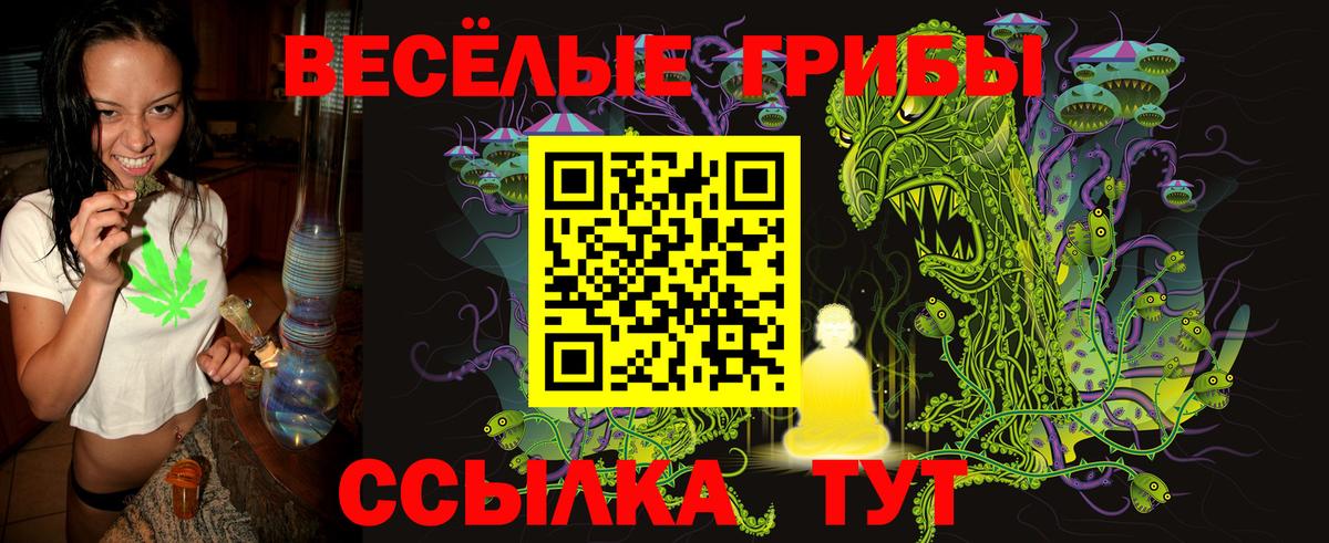 Галлюциногенные грибы Psilocybine cubensis Вязники