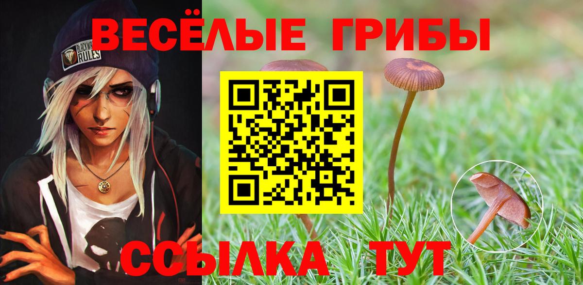 Вязники  Псилоцибиновые грибы MAGIC MUSHROOMS  купить наркоту  Галлюциногенные грибы Psilocybine cubensis  Вход с VPN 